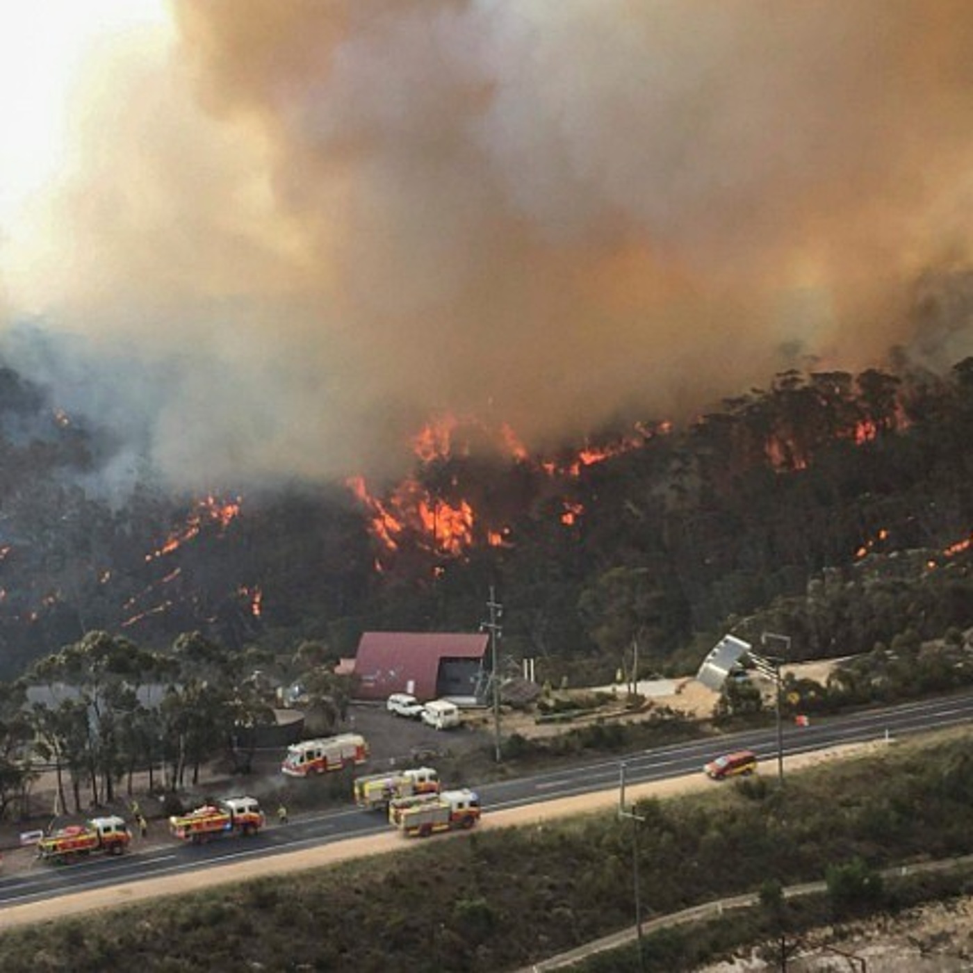 После сильного пожара. Лесные пожары в Австралии 2019-2020. Лесные пожары в Австралии 2020. Пожары в Австралии 2019. Лесные пожары в Австралии 2020 из космоса.
