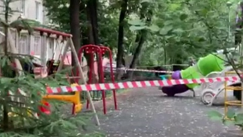Видеокамера зафиксировала, как в Москве дерево убило ребенка на глазах у матери