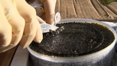 Вести. Дежурная часть. Эфир от 29.09.2021 (21:30)