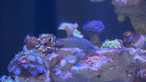 Вести. Дежурная часть. Эфир от 20.12.2021