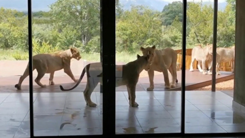 Мобильный репортер. Лучшее за 2021 год. Комментируют