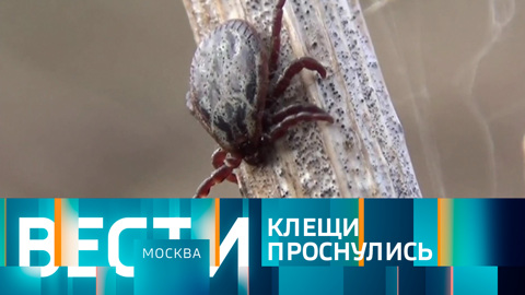 Эфир от 06.04.2022 (14:30)