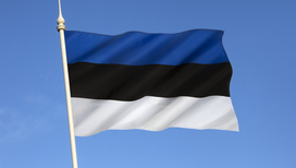 Перевод системы образования Эстонии на госязык приведет к катастрофе