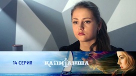 Серия 14