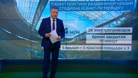 "Погода 24": в случае сильного дождя Россия и Египет сыграют под крышей