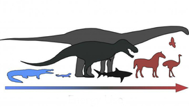 Расход энергии у динозавров и других позвоночных по шкале от холоднокровных до теплокровных 