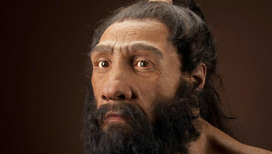 Взрослый мужчина-неандерталец. Реконструкция 