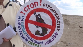 Крымчане негативно настроены к строительству фермы креветок на пляже