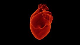 Биологи освоили 3D-печать сложных компонентов человеческого сердца