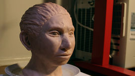 Скульптура изображает денисовца, внешность которого восстановлена благодаря анализу ДНК.
