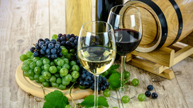 Генетика и лучшее вино на Земле. Ампелография