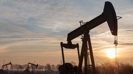 Запасы нефти в США обновили 40-летний минимум