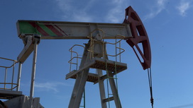 Путин: Россия снизила добычу газа для поддержания цен на рынке