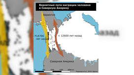 Учёные опровергли традиционную историю заселения Америки