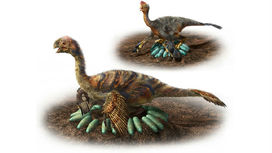 Как крупные динозавры высиживали яйца, не повреждая их