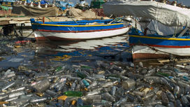 Куда пропадает пластиковый мусор из океана? Возможно, микробы научились его "разжёвывать"