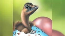 Динозавры несли разноцветные яйца и передали эту способность птицам