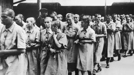Представитель ОБСЕ: польский закон о Холокосте должен быть отклонен