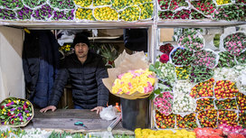 Выбираем цветы: как раскусить уловки продавцов и купить хороший букет