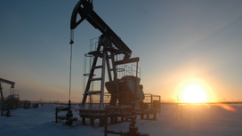 Потолок цен на российскую нефть будет установлен 5 декабря