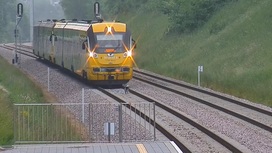 Невозмутимый пес остановил пассажирский поезд на железной дороге в Польше. Видео