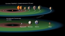 Сравнение системы TRAPPIST-1 с Солнечной системой. Перевод Вести.Ru.