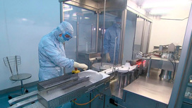 Завершены доклинические исследования назальной вакцины от COVID-19
