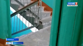 Норильские многоэтажки оккупировали крысы