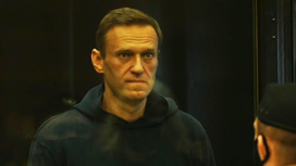 Собкор: у Навального на суде произошел эмоциональный всплеск на грани истерики