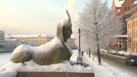 Февральские морозы продолжат атаковать россиян