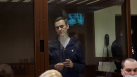 Песков о Навальном: он несет ответственность за свои деяния по закону