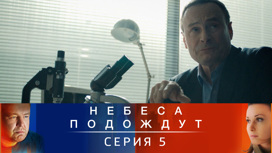 Серия 5