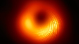 Изображение чёрной дыры в центре галактики М87 в поляризованных лучах.