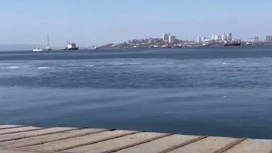 На Русском водитель иномарки, уходя от полицейских, улетел с пирса в море