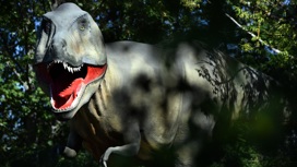 Учёные выяснили, сколько тираннозавров обитало на Земле за всю историю вида.
