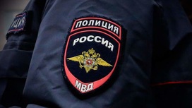 Подозреваемые в тройном убийстве подростки сознались в содеянном