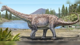 В Чили обнаружили гигантского динозавра