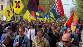 Организацию украинских националистов признали экстремистской