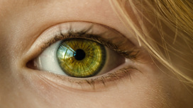 Зрение человека впервые восстановлено с помощью оптогенетики
