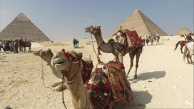 Возобновление авиасообщения с Египтом: мнения экспертов