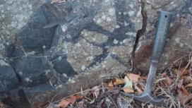 Кусок породы, в котором были обнаружены образцы окаменелостей.
