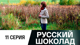 Серия 11