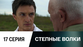 Серия 17