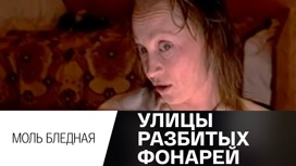 Моль бледная