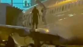 В Майами пассажир самолета прогулялся по крылу. Видео