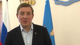 Турчака утвердили представителем Псковской области в Совфеде