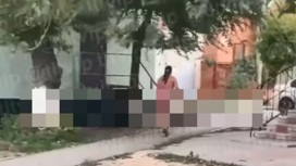 В Тольятти полуголая женщина устроила дефиле по улицам