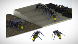Роботы-муравьи впервые преодолели препятствие, объединившись