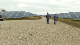 Возобновляемая энергетика: развитие отрасли в России
