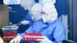 В Китае выявили новый вид генипавируса